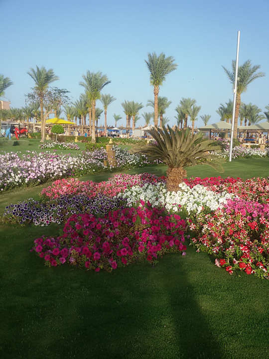 Gartenanlage Pickalbatros Palace Resort