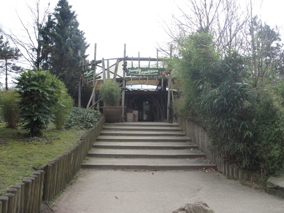 Jungle Dome Center Parcs Het Heijderbos
