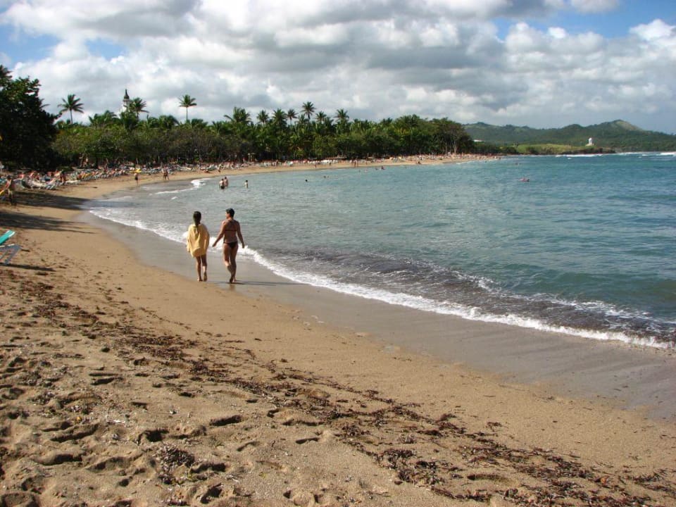 Strand aller Drei Riu - Hotels. Playabachata Hotel