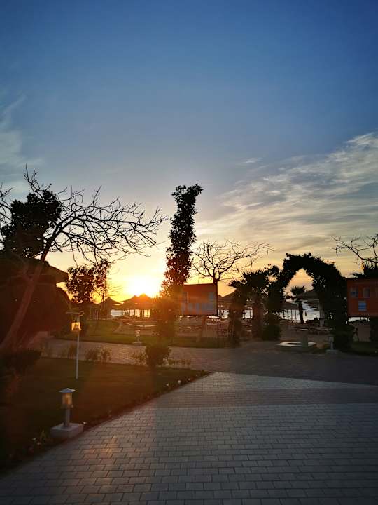 Gartenanlage Jaz Soma Beach