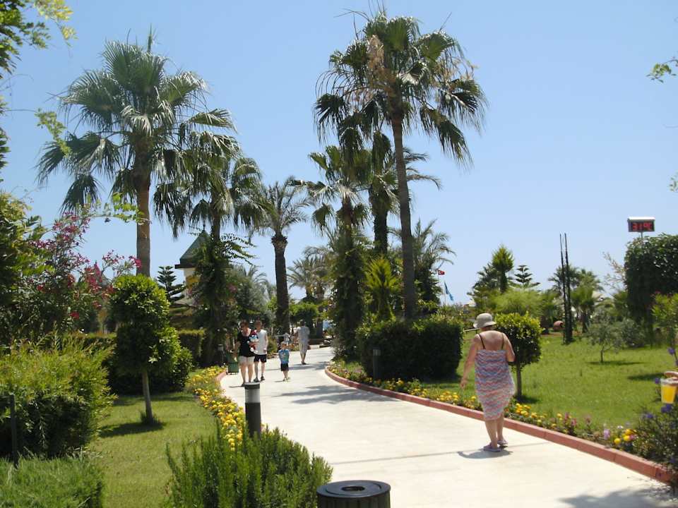 Weg durch den Garten Saphir Resort & Spa