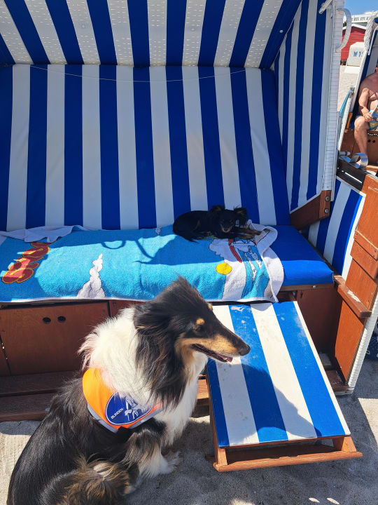 Strand Pension Cora