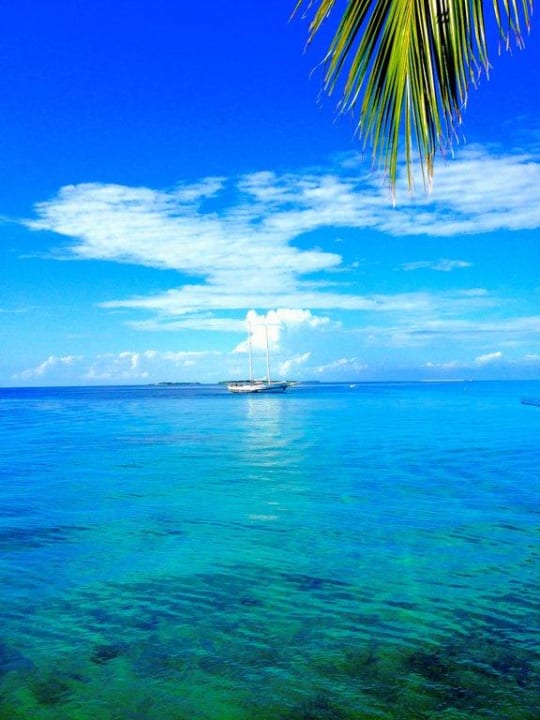 Ausblick von Jacuzzi Beach Villa Nr.114 Kuredu Island Resort & Spa