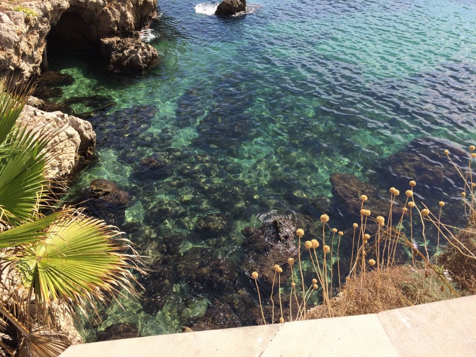 Einfach nur wow R2 Lago Playa Park