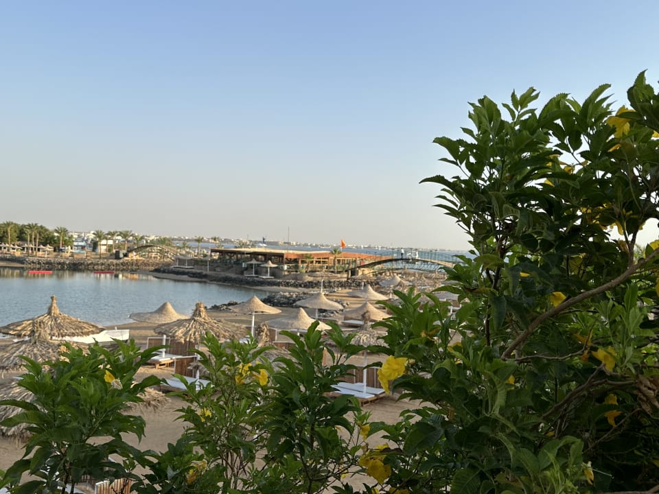Ausblick Desert Rose