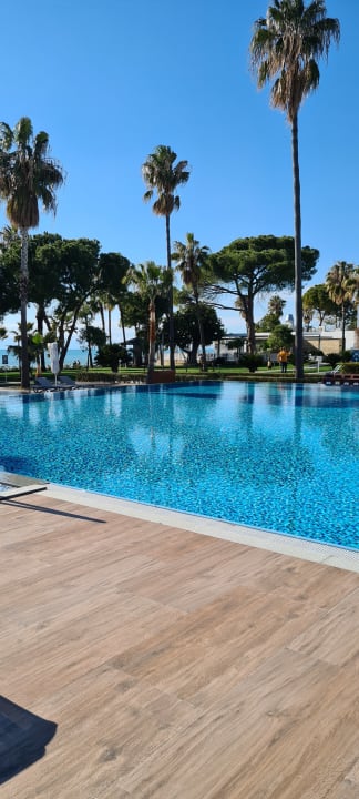 Pool Acanthus Cennet Barut Collection
