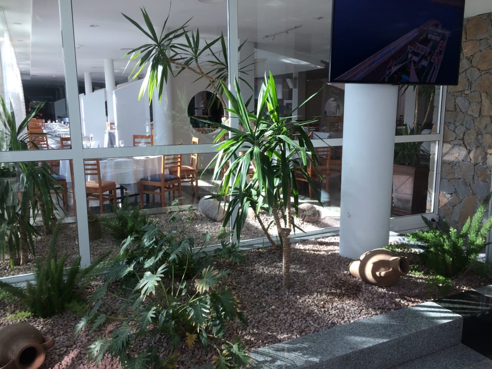 Sonstiges allsun App.-Hotel Esquinzo Beach