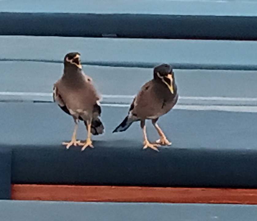 Sonstiges DoubleTree by Hilton Resort & Spa Marjan Island