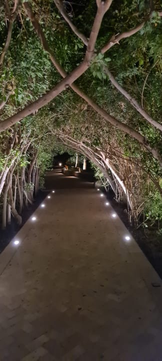 Gartenanlage Fort Arabesque Resort, Spa & Villas