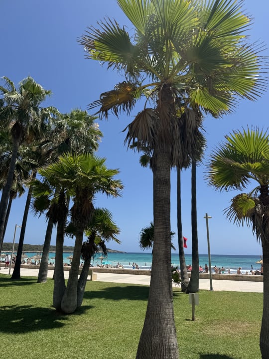 Strand Hipotels Mediterraneo Club