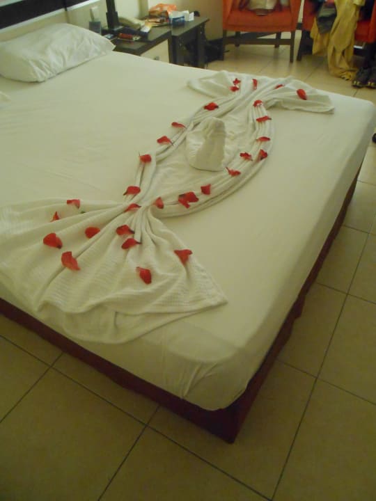 Zimmerkunst Hotel Orfeus Park