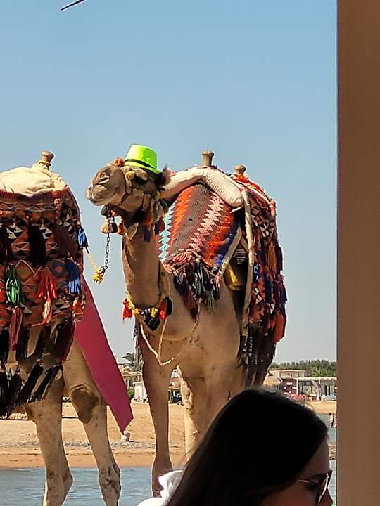 Strand Rewaya Majestic Resort