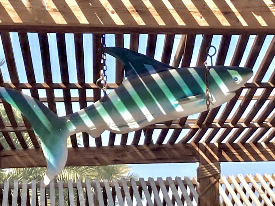 Gastro Pickalbatros Golf Beach Resort