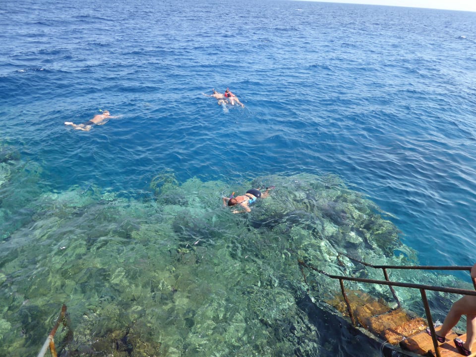 Snurkowanie Three Corners Sea Beach Resort