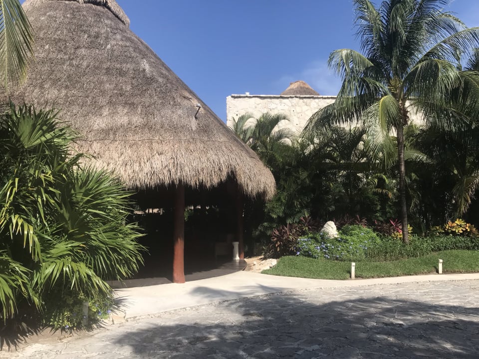 Lobby Akumal Bay Beach & Wellness Resort