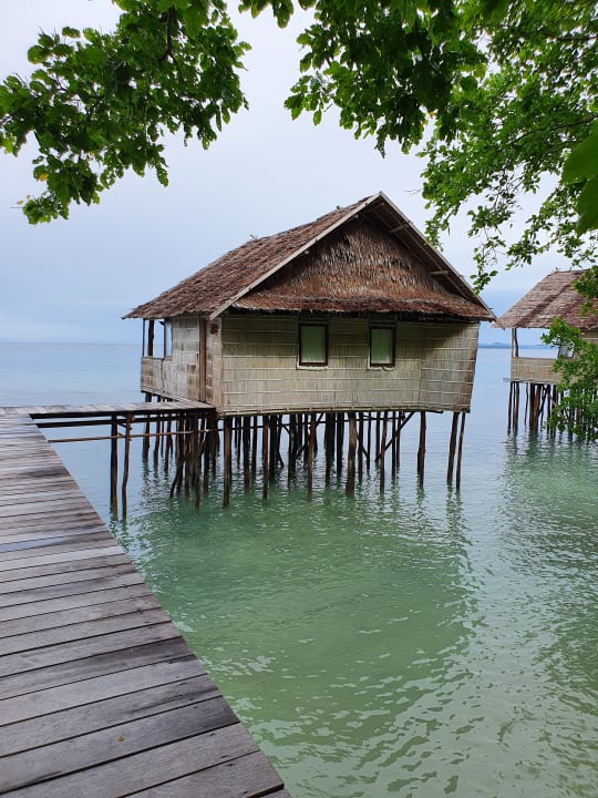 Zimmer Papua Paradise Eco Resort