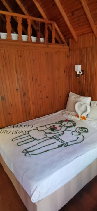 Zimmer Clover Magic Nova Beach