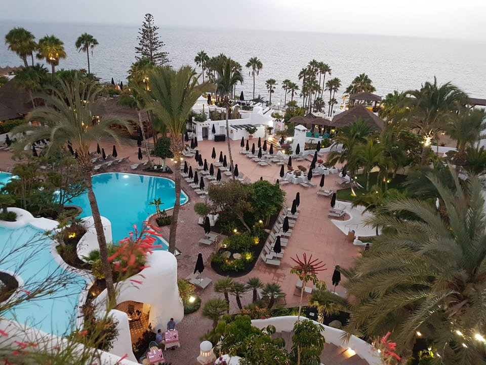 Zimmer Dreams Jardín Tropical