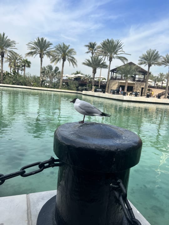 Außenansicht Jumeirah Mina Al Salam