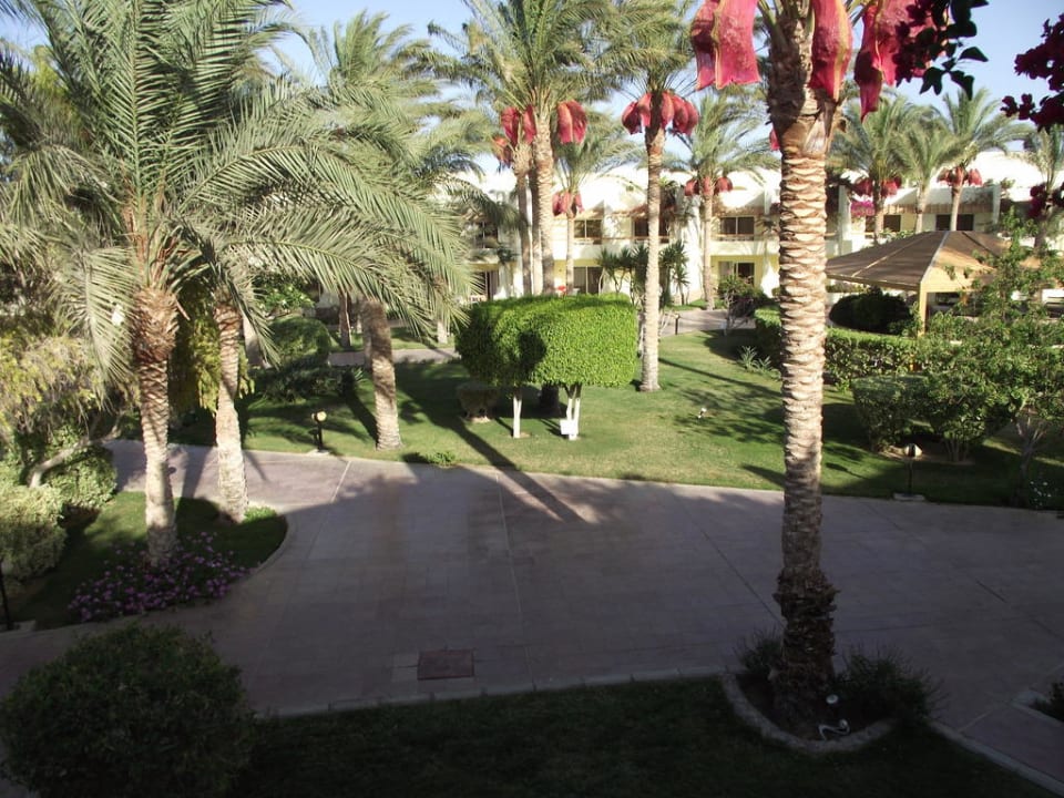 Gepflegt Palm Beach Resort
