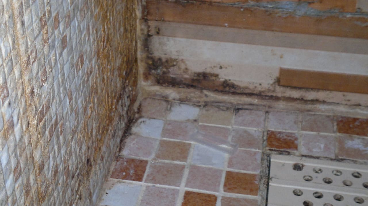 Schimmel in allen sanitären Anlagen Mahdia Beach & Aquapark