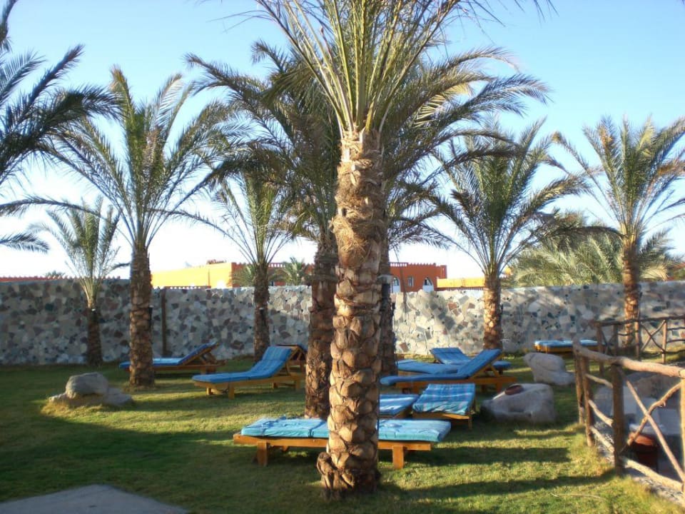 Am Pool Pickalbatros Dana Beach Resort - Hurghada