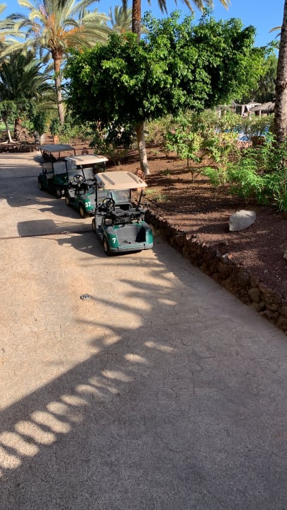 Gartenanlage Elba Palace Golf Boutique Hotel - Adults Only