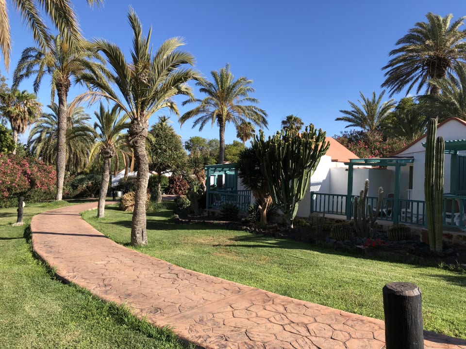 Gartenanlage Aldiana Club Fuerteventura