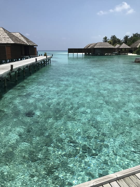 Außenansicht Veligandu Maldives Resort Island