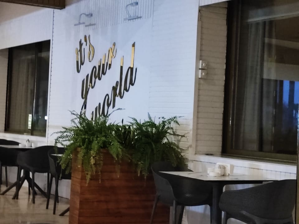 Gastro Asteria Collection Side