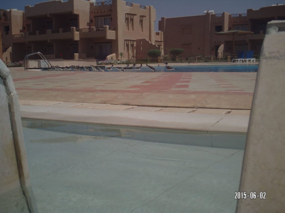 Laguna Beach Resort Laguna Beach Marsa Resort