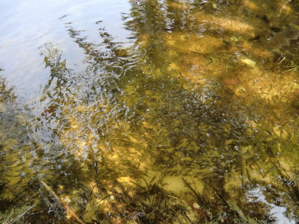 Озеро Hotel Bangaram Island Resort