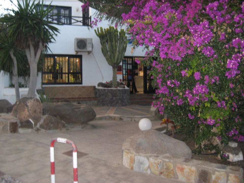 Rezeption Catalina Casa Hotel Bahia Calma Beach Casa Catalina