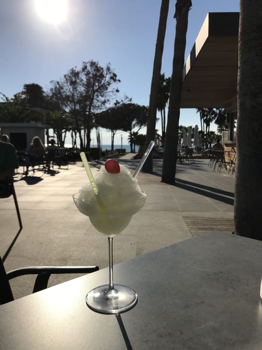 Gastro Acanthus Cennet Barut Collection