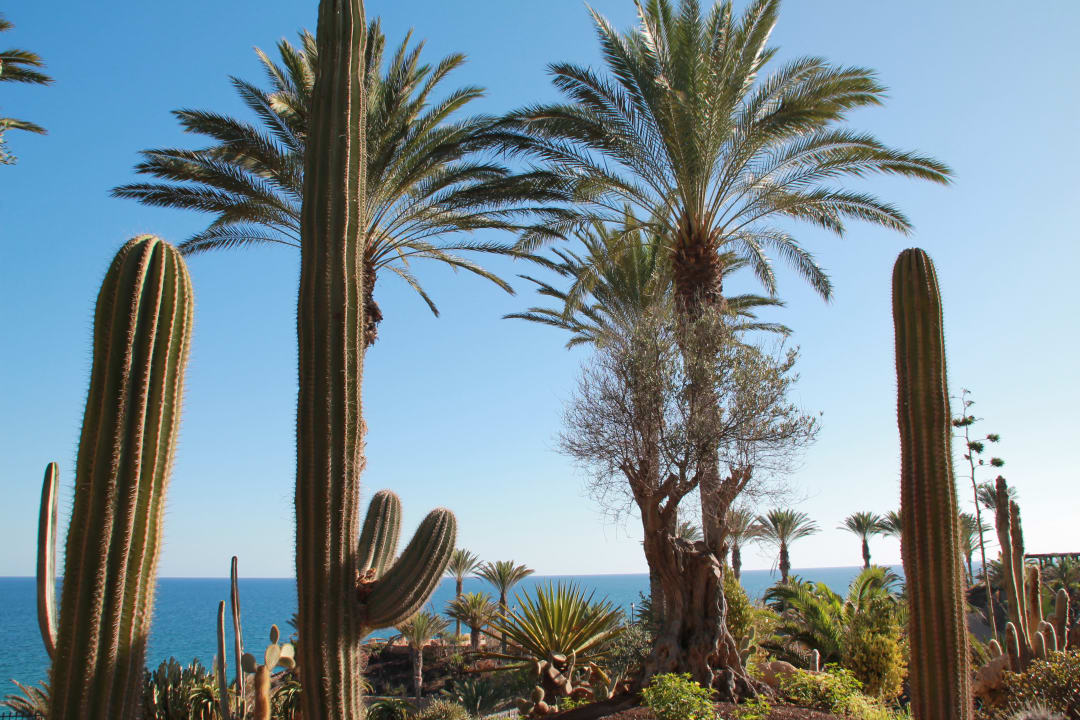 Ausblick R2 Rio Calma Hotel & Spa & Conference