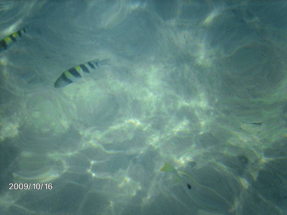 Glasklares Wasser Hotel Hauza Beach Resort