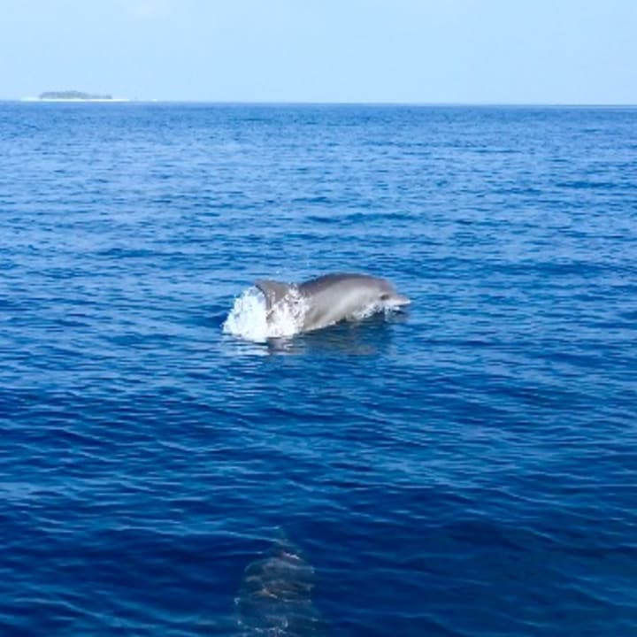 Sport & Freizeit Summer Island Maldives