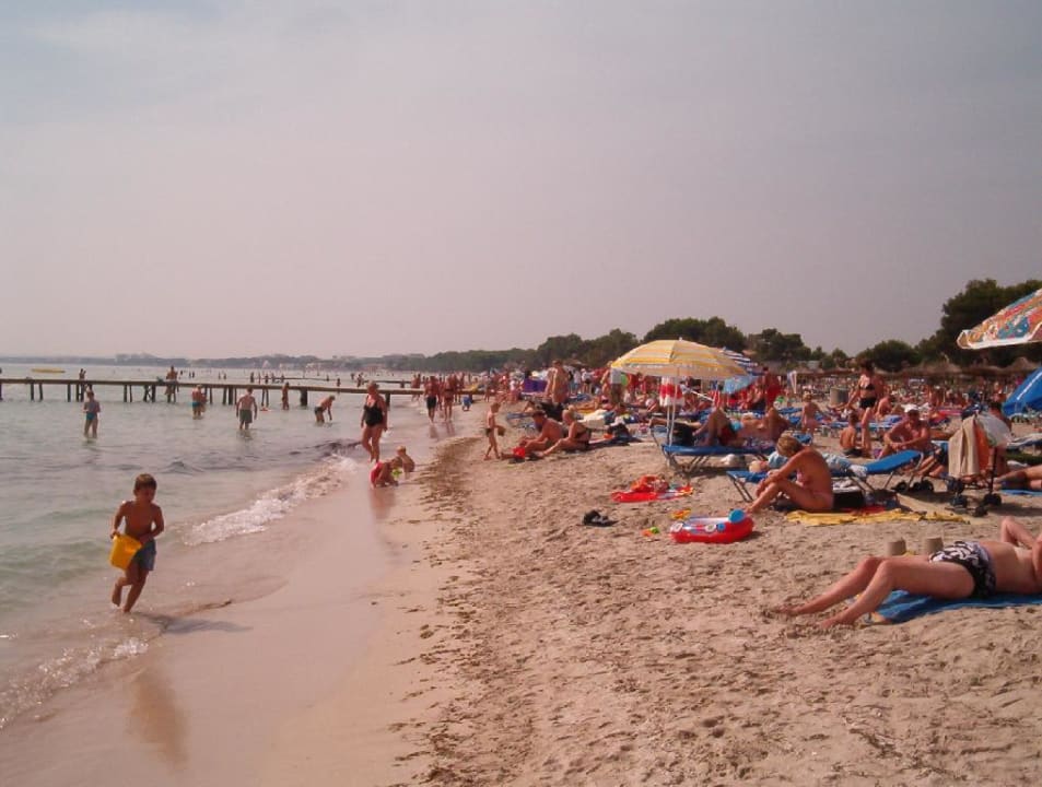 Strand vorm Paraiso de Alcudia Aparthotel Paraiso De Alcudia