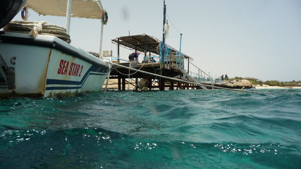 Steg Hotel Mangrove Bay Resort