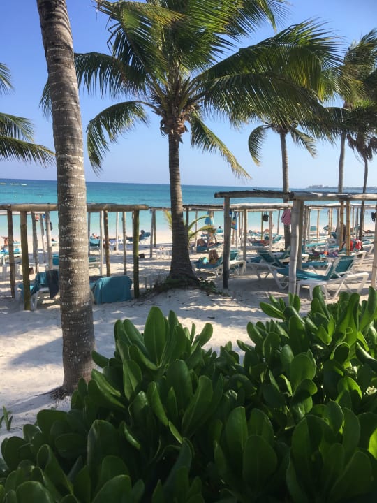 Strand Akumal Bay Beach & Wellness Resort