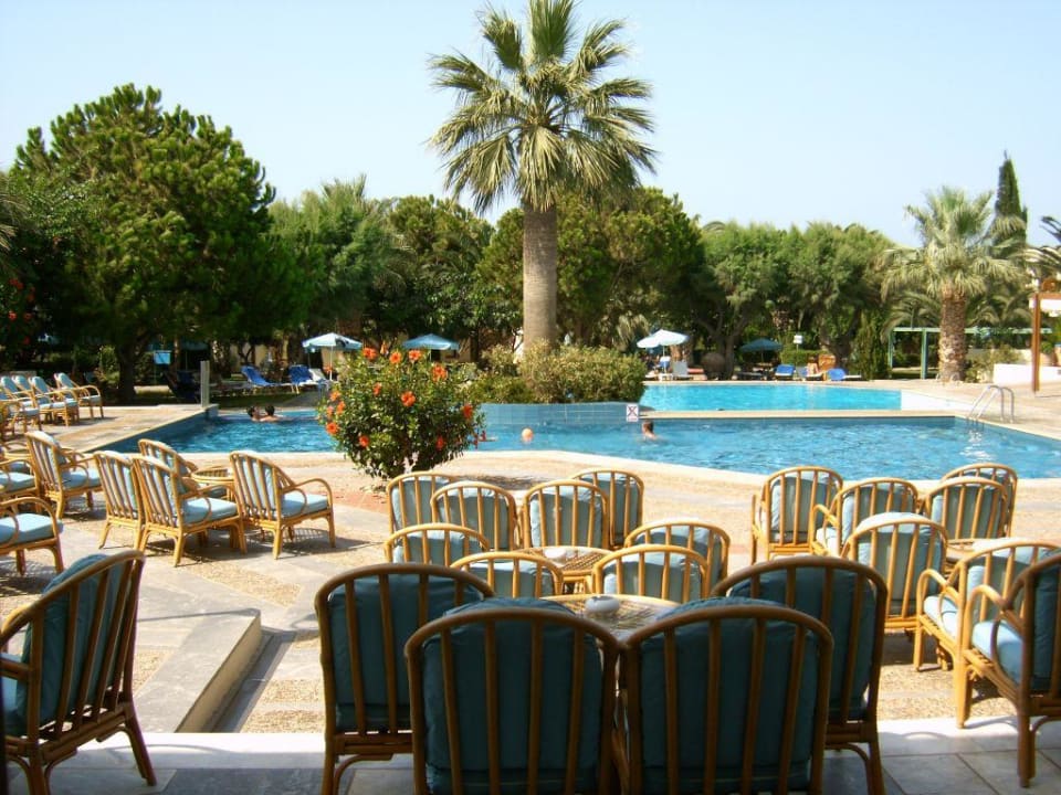 Blick auf den Pool Phãea Cretan Malia