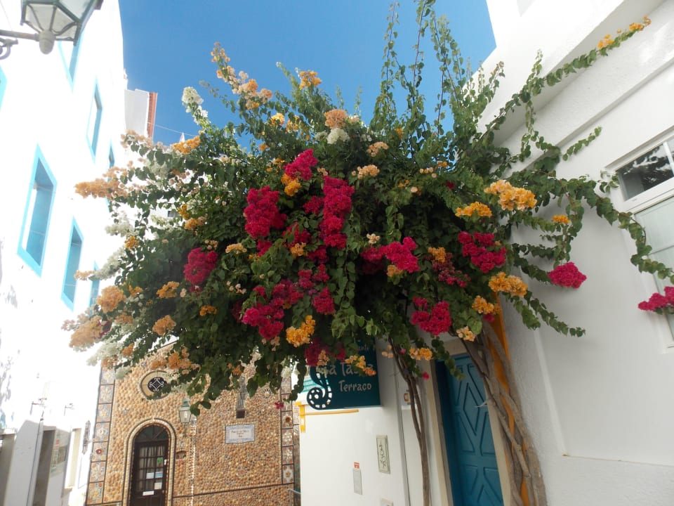 3 Farben Baum Rocamar Exclusive Hotel & Spa