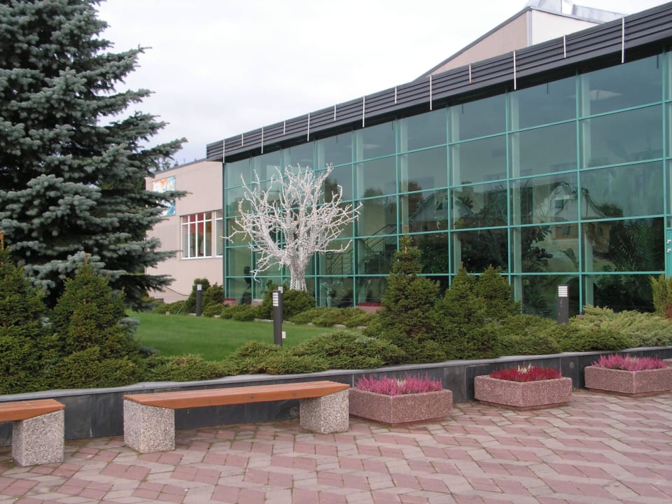 Скамейки у главного входа Hotel Toila Spa