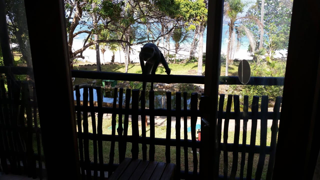 Hotel Baobab Beach Resort Baobab Beach Resort & Spa