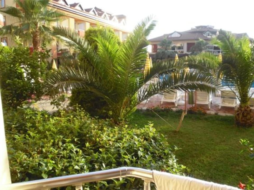 Ausblick Hotel Orfeus Park