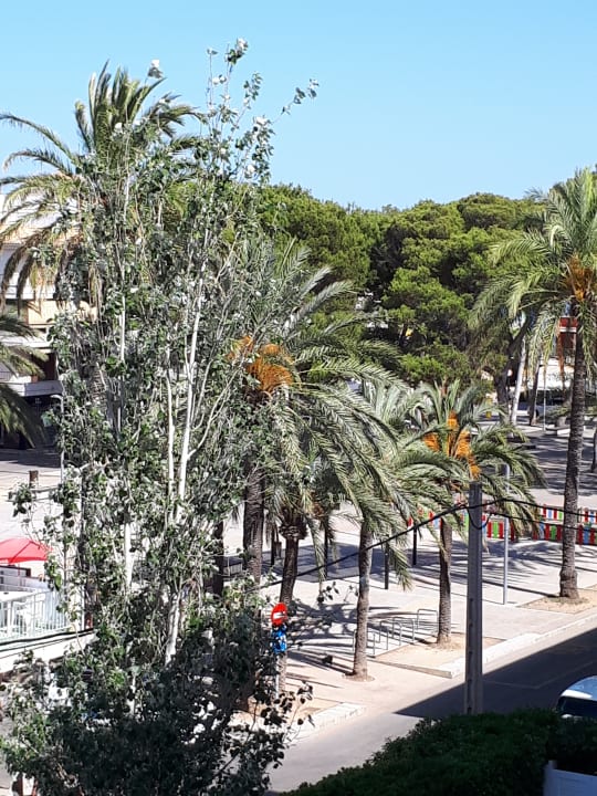 Ausblick Hotel Bella Mar