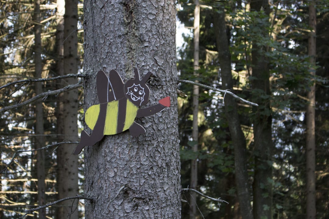 Sport & Freizeit Apartment Viktoria im Almhaus Bachler