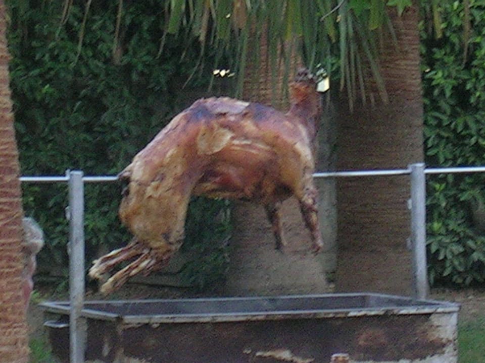 GalaAbend Hane Family Resort