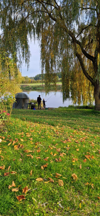 Ausblick Urlaub am Regen - Ferienhof Dirnberger