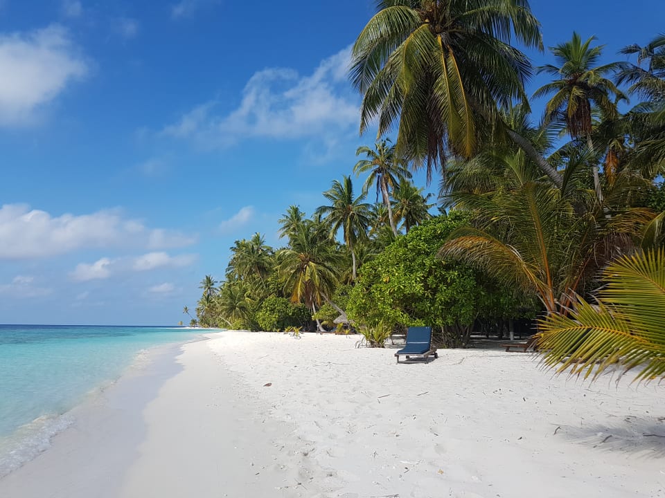 Strand Filitheyo Island Resort